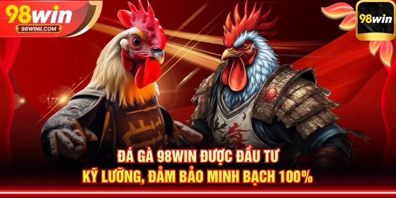 Đá gà 98WIN được đầu tư kỹ lưỡng, đảm bảo minh bạch 100%