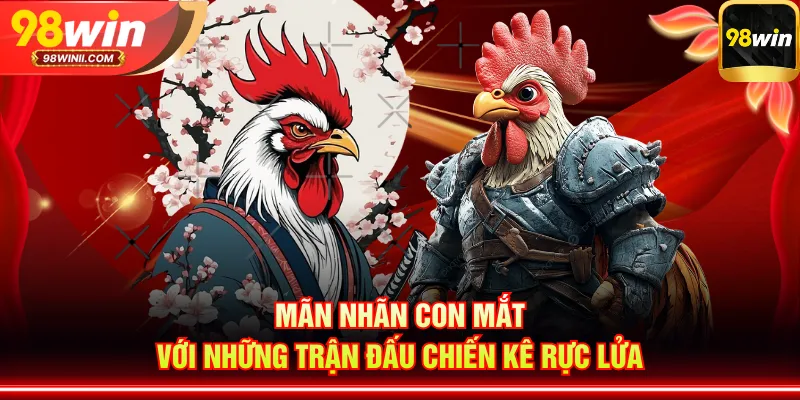 Mãn nhãn con mắt với những trận đấu chiến kê rực lửa
